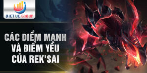 Các điểm mạnh và điểm yếu của RekSai